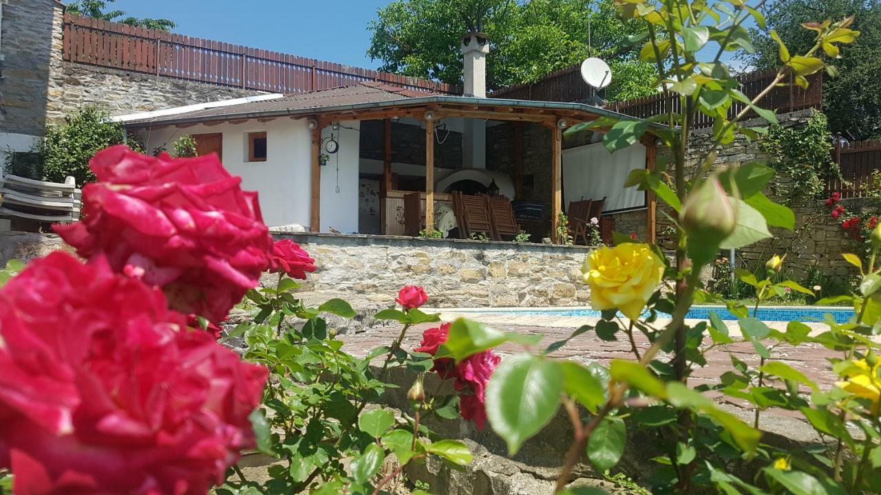 Rosarium Residence Guest House Dryanovo Ngoại thất bức ảnh